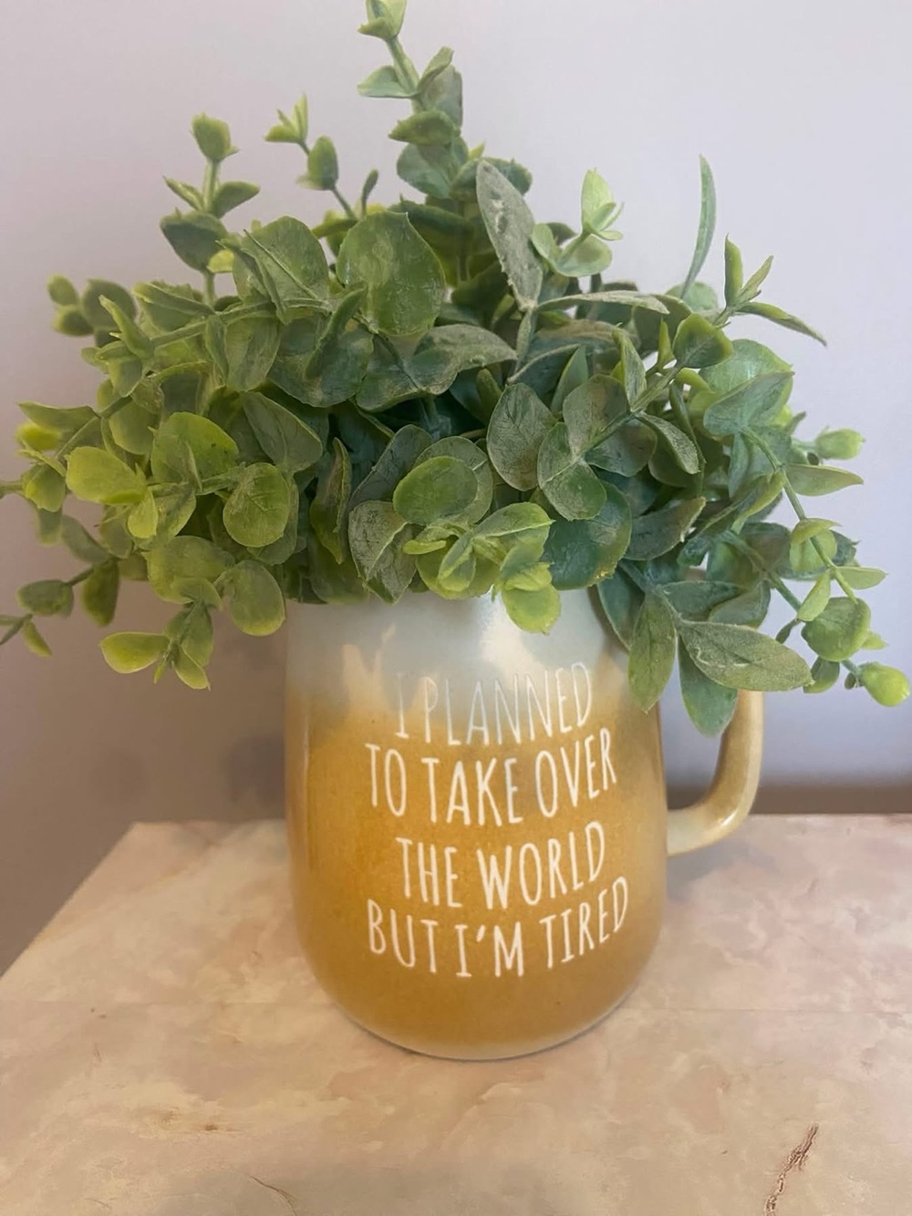Faux plant in a mug - “I planned to take over the world but I’m tired”